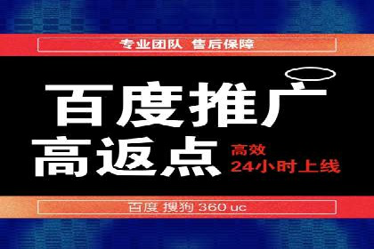 竞价广告赚钱秘籍：百度实战案例