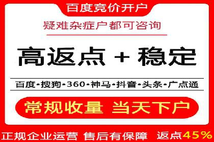 百度推广平台案例剖析：揭秘广告投放策略